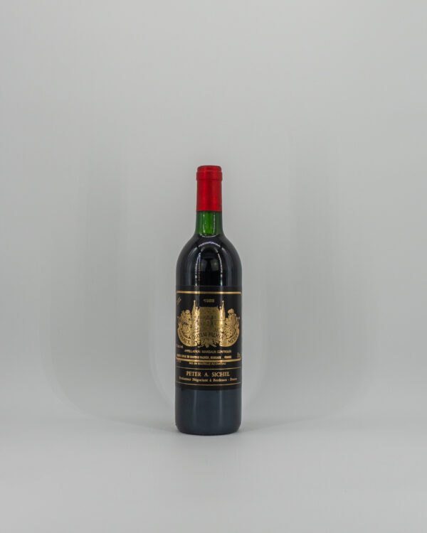 1989 Palmer
